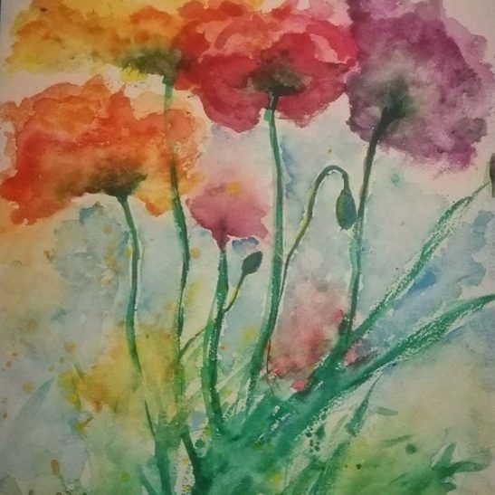 Rainbow Poppies